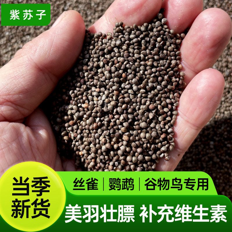 西蜀堂新紫苏子丝雀鹦鹉鸟粮虎皮鹦鹉文鸟珍珠鸟美玉壮膘专用鸟粮