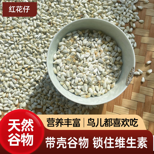 西蜀堂新红花籽训练互动鹦鹉鸟粮