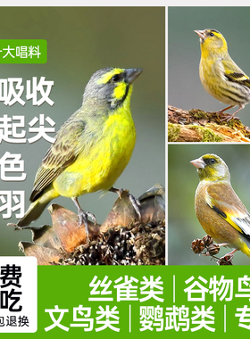 西蜀堂手工金青白燕丝雀鸟食黄雀金翅麻料芙蓉鸟鸟食谷物鸟饲料