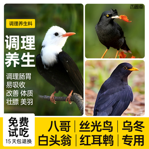 西蜀堂手工八哥乌冬丝光鸟食饲料