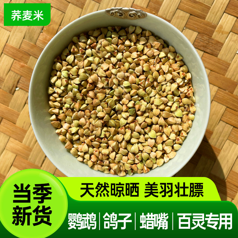 西蜀堂新鸟粮荞麦米鸽粮鹦鹉鸟粮美羽壮膘鸽子营养专用鹦鹉饲料