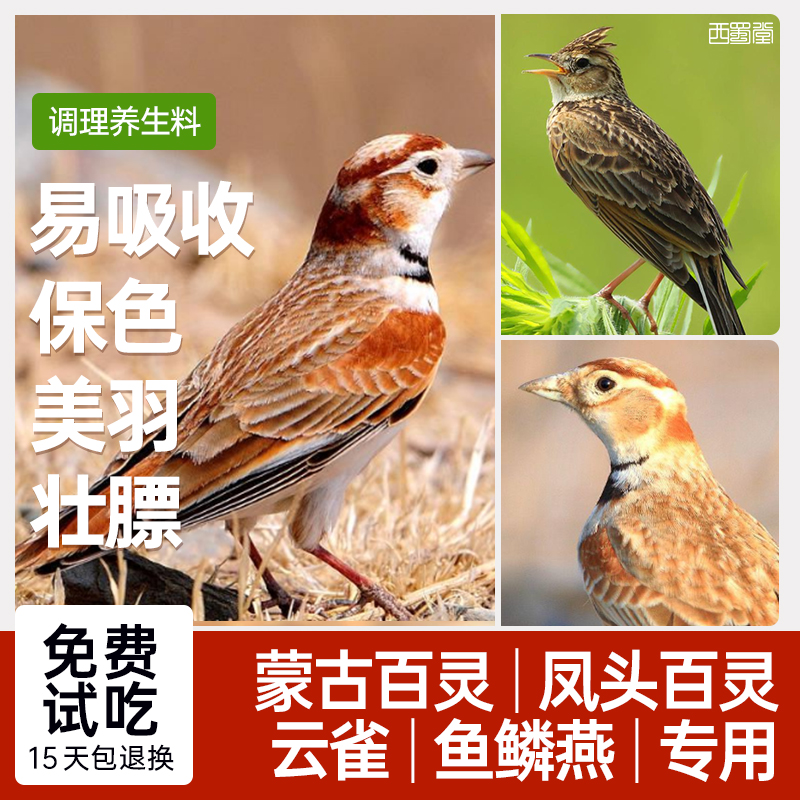 西蜀堂百灵云雀营养壮膘鸟食饲料