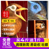 西蜀堂手工画眉鸟食饲料营养壮膘画眉鸟食秘制唱鸟生鸟画眉鸟饲料