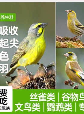 西蜀堂手工金青白燕丝雀芙蓉鸟鸟食黄雀金翅麻料鸟饲料谷物鸟饲料