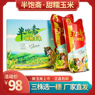 2024年新鲜内蒙古半饱斋甜糯玉米非转基因棒12棒真空装加农炮包邮