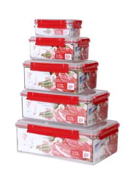 PC带盖带扣保鲜盒长方形食品盒鸡蛋盒家用密封便当盒子冰箱收纳盒