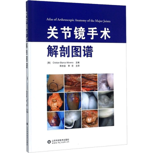 关节镜手术解剖图谱 山东科学技术出版社 (智)克里斯蒂安·布兰科·莫伦诺(Cristian Blanco Moreno) 主编;陈世益,李宏 主译