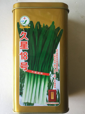 高产基地专用蔬菜种子