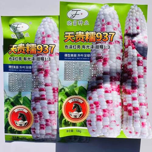钱多多668彩甜糯玉米种籽高产春