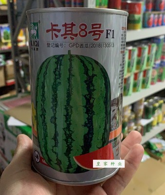 卡其8号西瓜8号西瓜种子