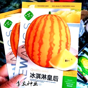 黄皮黄壤西瓜种子安徽科乐种业冰淇淋皇后超甜黄肉礼品西瓜种籽孑