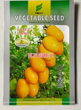 北斗皇妃黄色小番茄种子西红柿种籽阳台四季盆栽蔬菜孑黄圣果种子