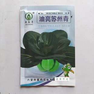 安益丰油亮苏州青种子四倍体小白菜种籽束腰厚叶微甜青菜种子高产