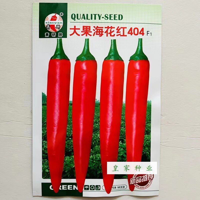萧研大果海花红404辣椒种子不花头 耐储运抗病尖椒美人椒种籽中熟