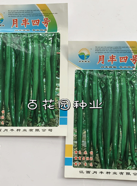 月丰四号辣椒种子深绿色长线椒种籽薄皮厚肉辣味强耐贮抗病高产