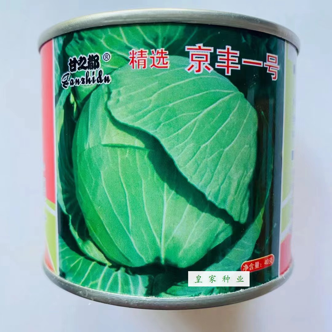 甘之都精选京丰一号甘蓝种子中熟包菜卷心菜种籽叶球扁圆春秋播