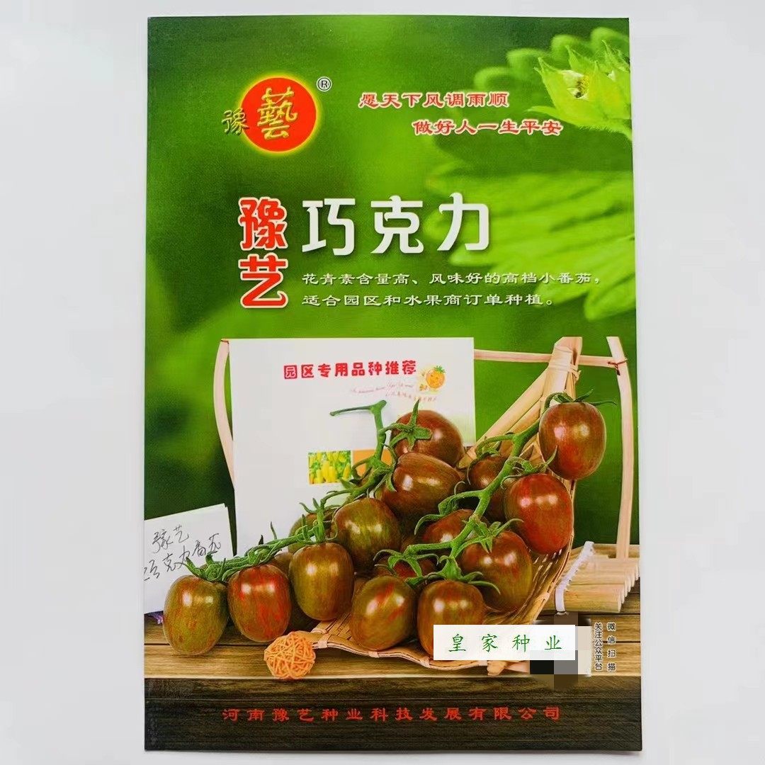 豫艺巧克力番茄种子咖啡色小西红柿种籽含青花素水果番茄籽樱桃果