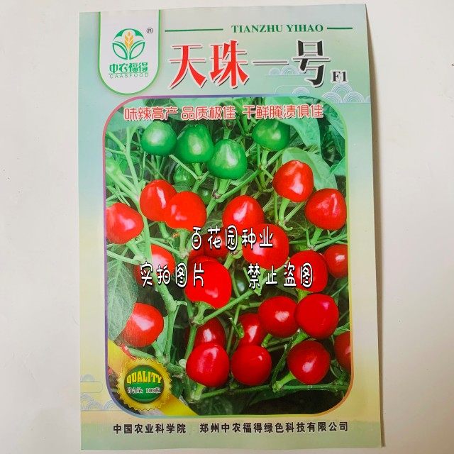中农福得天珠一号草莓辣椒种子中早熟果实圆球形味辣抗病干鲜两用