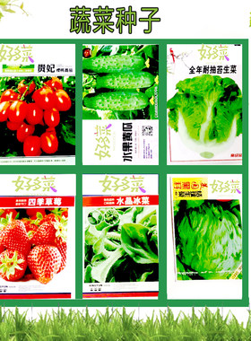 无土栽培菜籽种大全春夏秋冬四季播种阳台水培草莓黄瓜生菜冰菜种