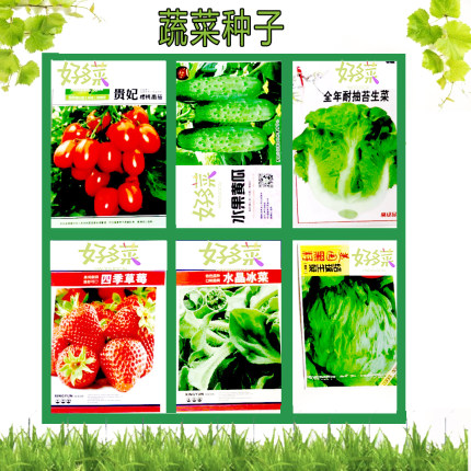 无土栽培菜籽种大全春夏秋冬四季播种阳台水培草莓黄瓜生菜冰菜种