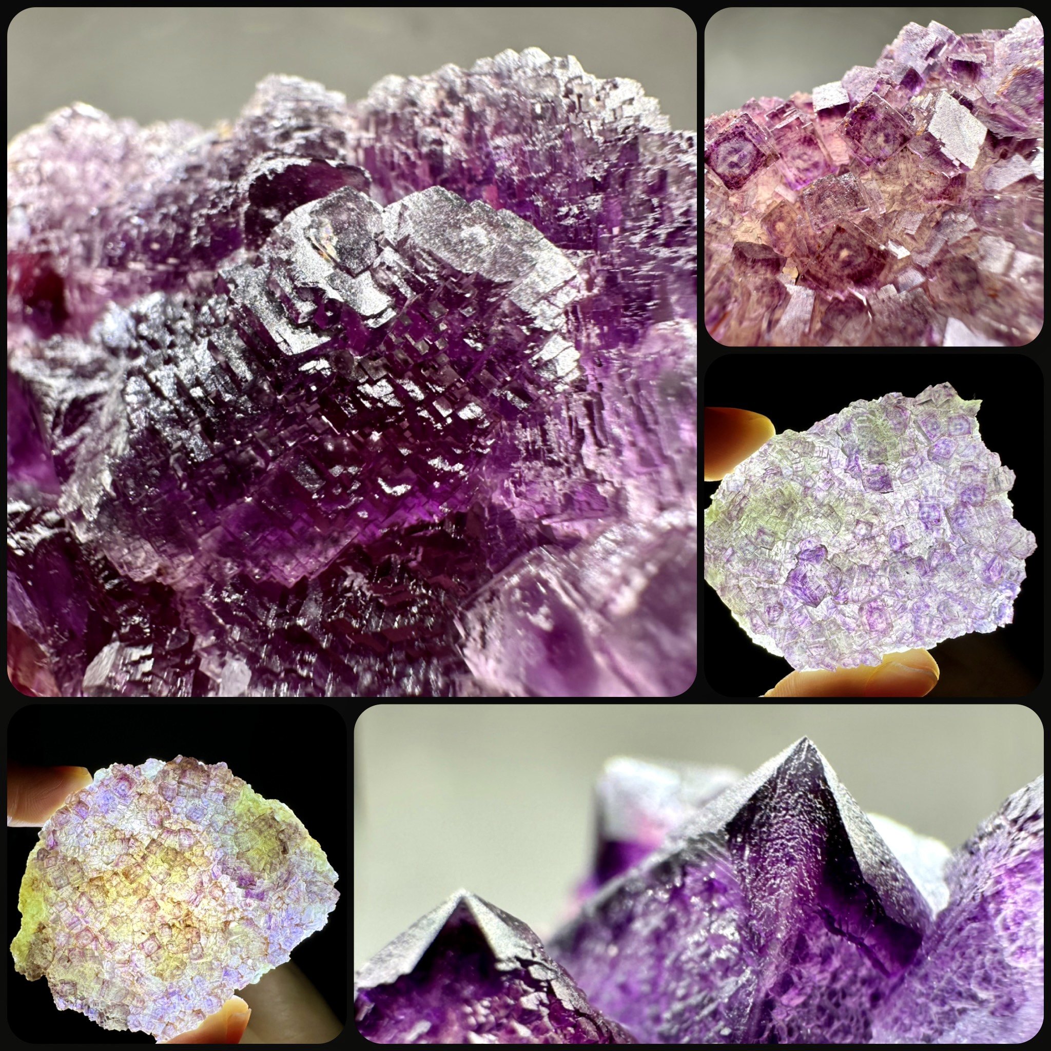 浙江透光紫红萤石天然原矿石矿物晶体标本摆件教学观赏收藏奇石