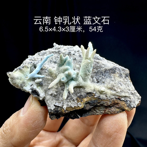 云南钟乳状 蓝文石天然矿物晶体矿石标本摆件教学观赏收藏奇石