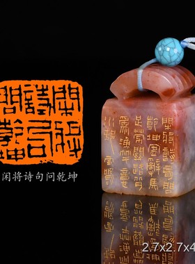 闲将诗句问乾坤投郑先辈雷鸣手工篆刻成品章写意书法书画印章闲章