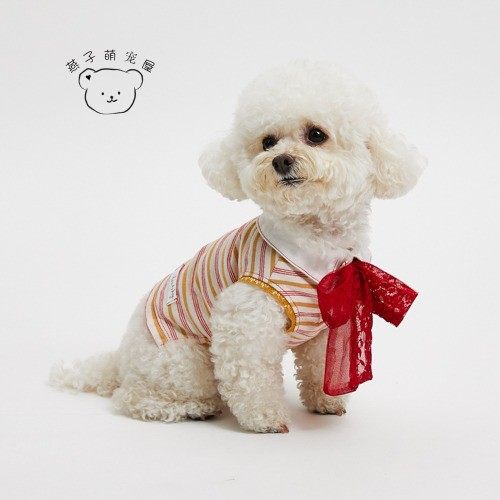 燕子萌宠屋韩国代购 louisdog宠物猫狗Polo衫T恤蕾丝蝴蝶结上衣