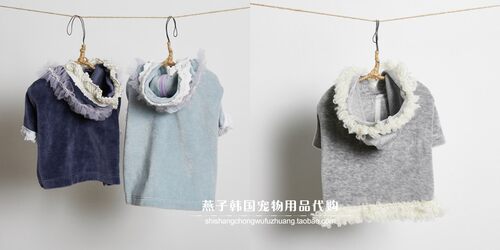 燕子韩国宠物衣服代购 louisdog短卫衣 猫狗保暖三色可选带蕾丝边