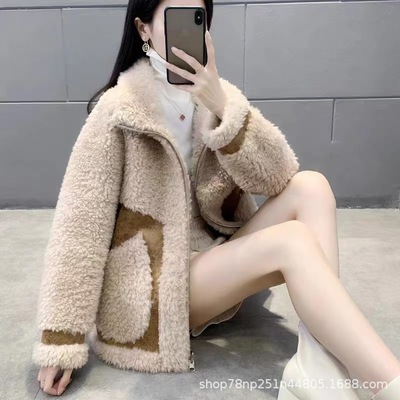 海宁羊剪绒皮草伊波拉