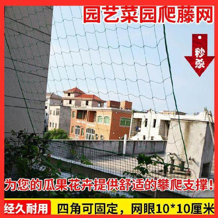 攀爬网农户四季豆豆角沃柑果棚山药。苦瓜搭架网花园拉线植物塑料在类目 鲜花速递/花卉仿真/绿植园艺, 园艺用品, 其它园艺用品中 - 来自Buy2taobao.com提供专业的淘宝代购服务