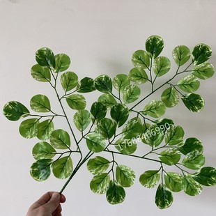 仿真小苹果树叶装饰假海棠树枝圆桐叶造景假金钱树叶绿化塑料叶子