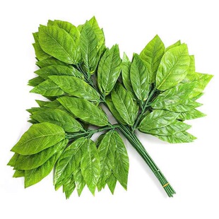 仿真黄桷叶假树叶博物馆装饰假树枝园林景观假黄葛叶子景观香泡叶