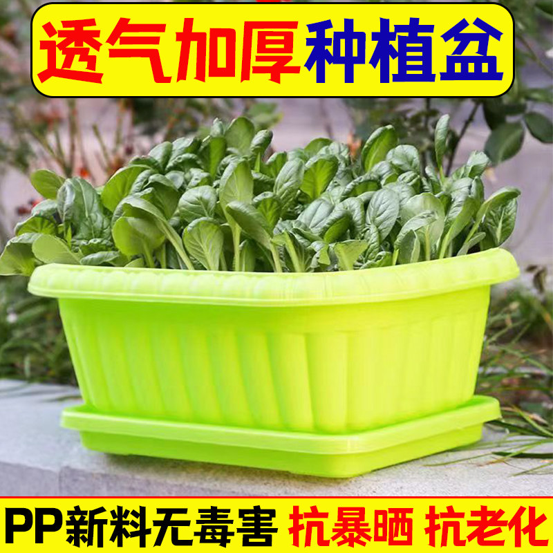 花盆家庭菜园阳台种深型植