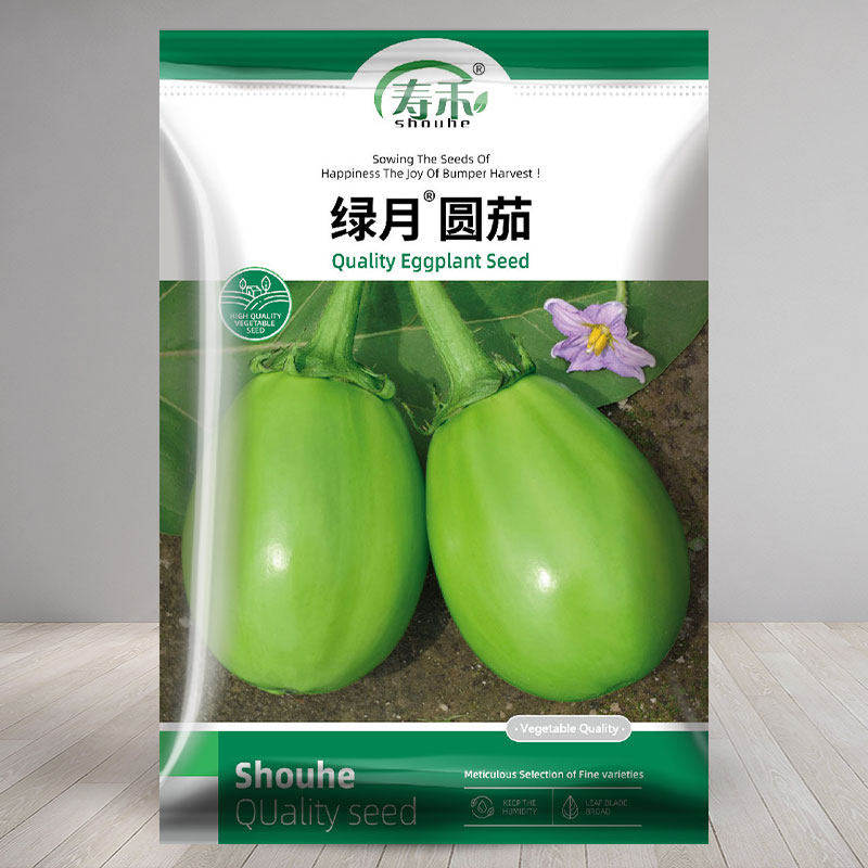 绿圆茄种子苗秧大籽青全高