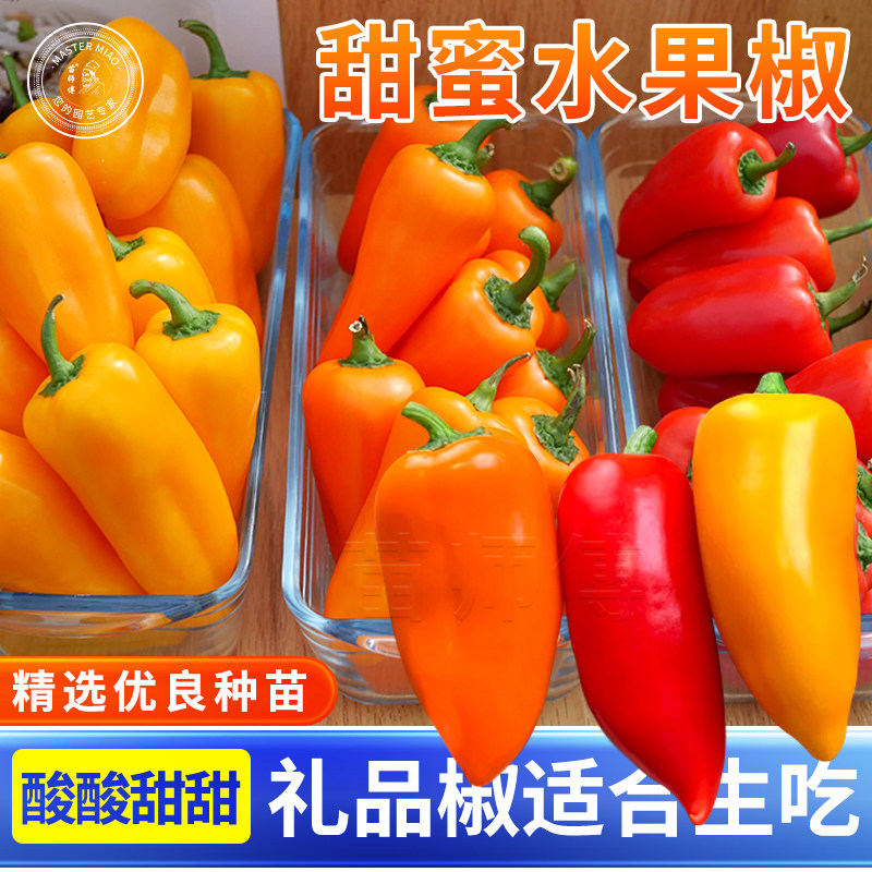 甜蜜水果椒辣椒种子礼品椒不辣生吃甜椒彩椒四季盆栽蔬菜苗种孑籽