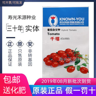 台湾农友千禧小番茄种子苗子 进口 千禧圣女果种籽种苗口感好