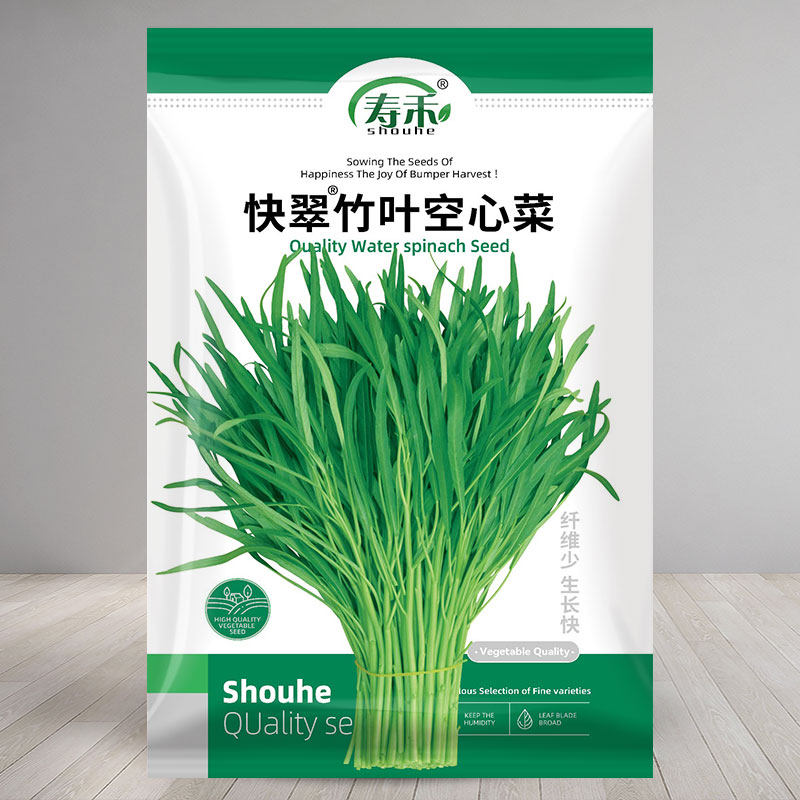 翠绿竹叶空心菜种子籽苗四