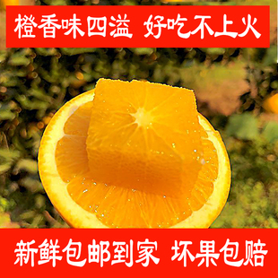 湖南会同脐橙新鲜9斤装手剥橙现摘当季水果怀化会同县橙子带青色