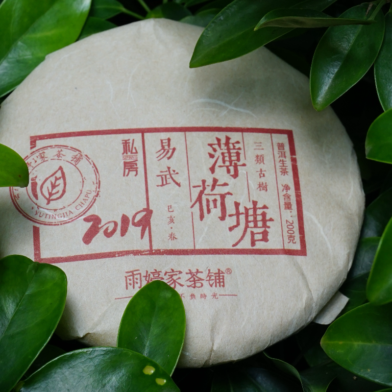 薄荷塘3类】云南2019易武薄荷塘头春普洱生茶 200g/饼秒杀价999