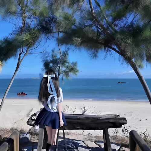 蝴蝶结飘带发夹JK制服芭