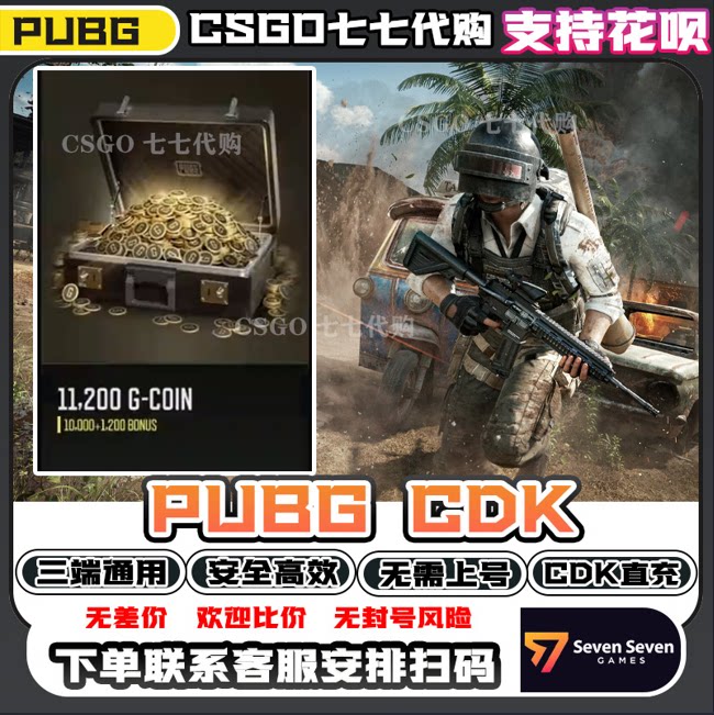 【可花呗】PUBG G币绝地求生11200G-coin币CDK兑换码steam端游