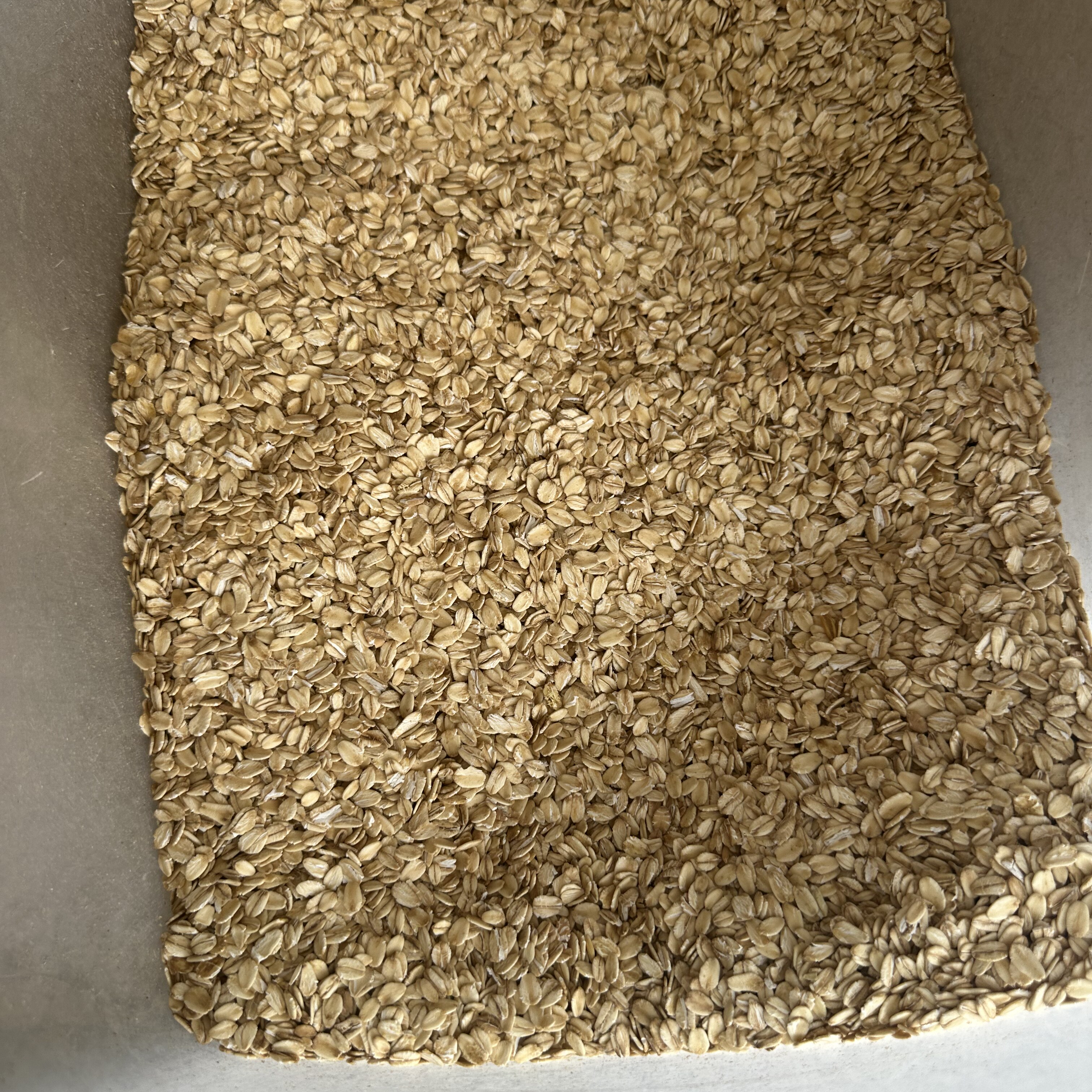 生燕麦片生农家纯麦片新鲜粗粮生的需煮原味五谷杂粮散装5斤10斤