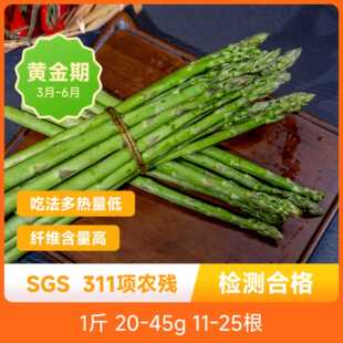 辰颐物语新鲜芦笋山东特产绿芦笋农家青笋新鲜蔬菜 春笋竹笋 包邮