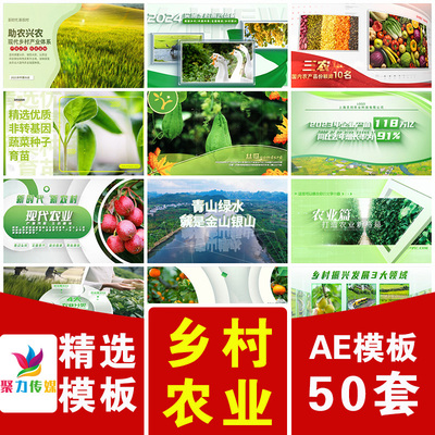 绿色现代科技农业蔬菜水果农产品作物数据分类图文篇章片头AE模版