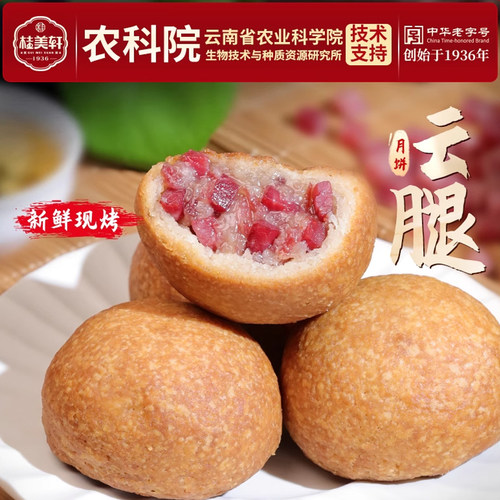 桂美轩云腿月饼云腿蛋黄小饼中华老字号云南特产零食宣威月饼中秋
