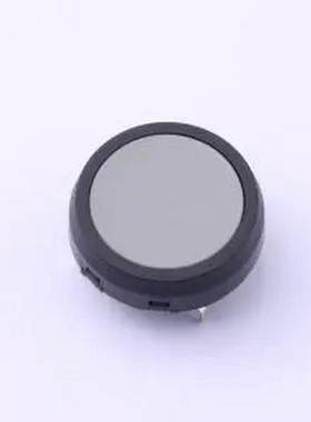 JF15CP2H JF15CP2H 插件 轻触开关