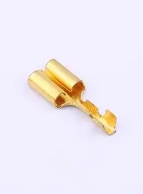 170384-1 170384-1 - 插片插簧端子