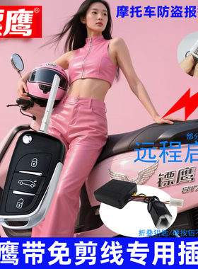 雅马哈巧格天剑迅鹰摩托车防盗器