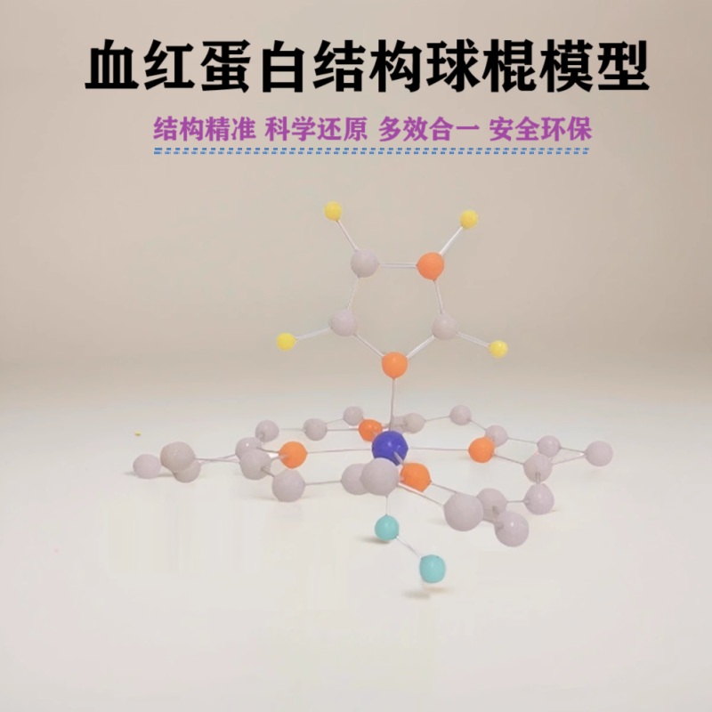 血红蛋白结构血红素球棍模型生物化学结构生物学教学医用科研展示